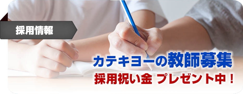 カテキヨ―の教師募集