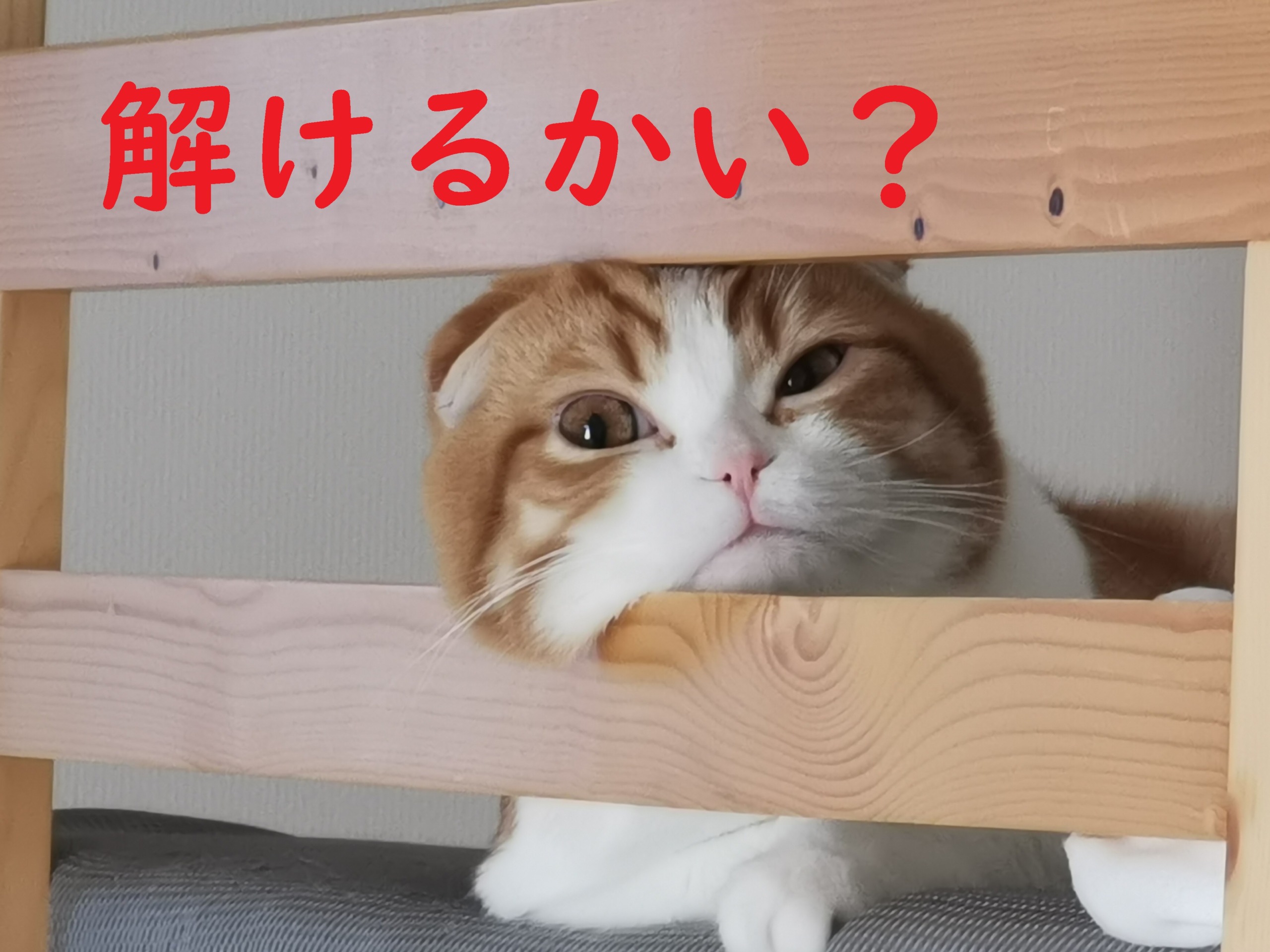 【解答】台風に関する雑学問題　わかるかな？？