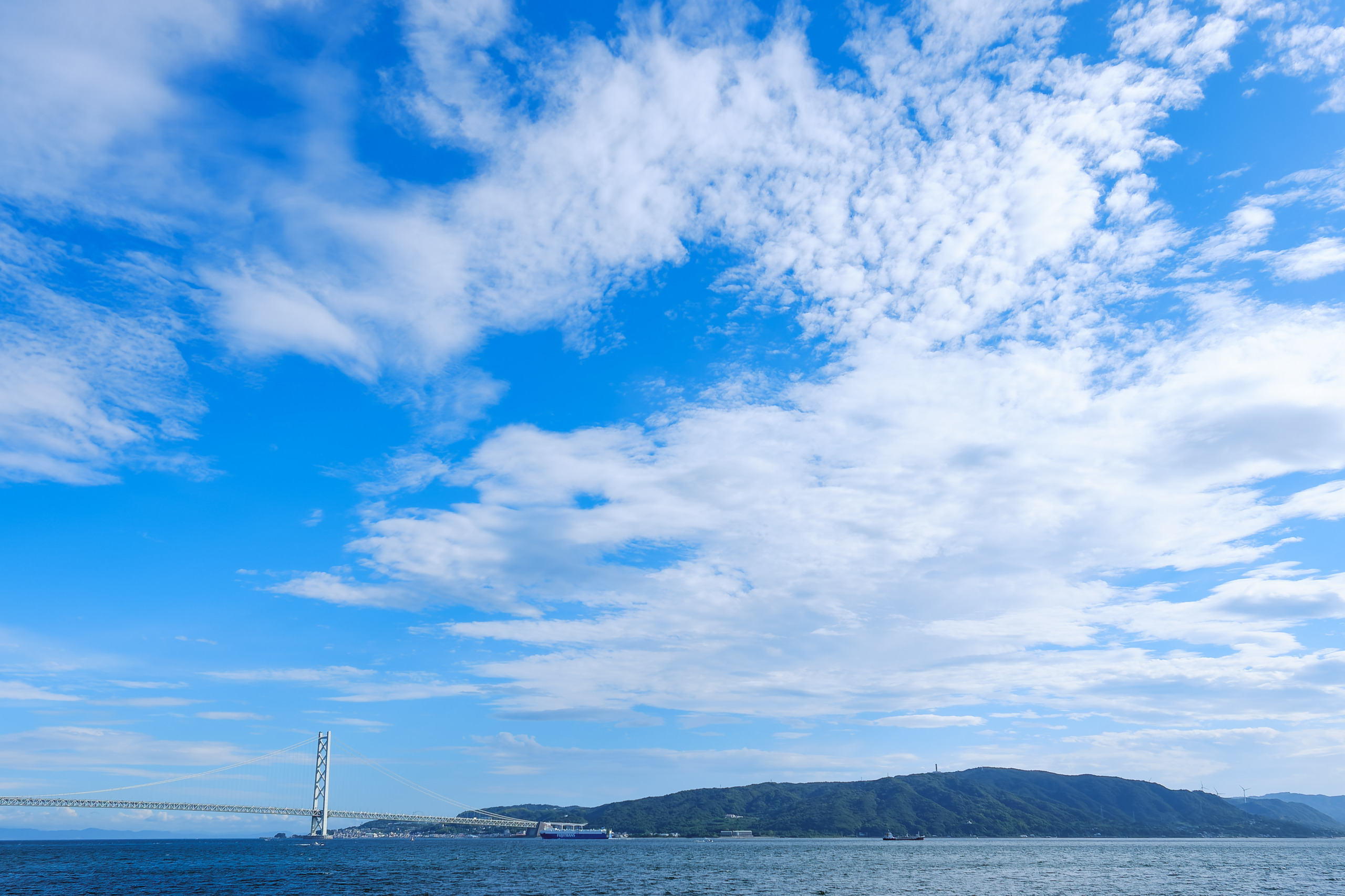 夏休みの課題は順調に進んでますか?