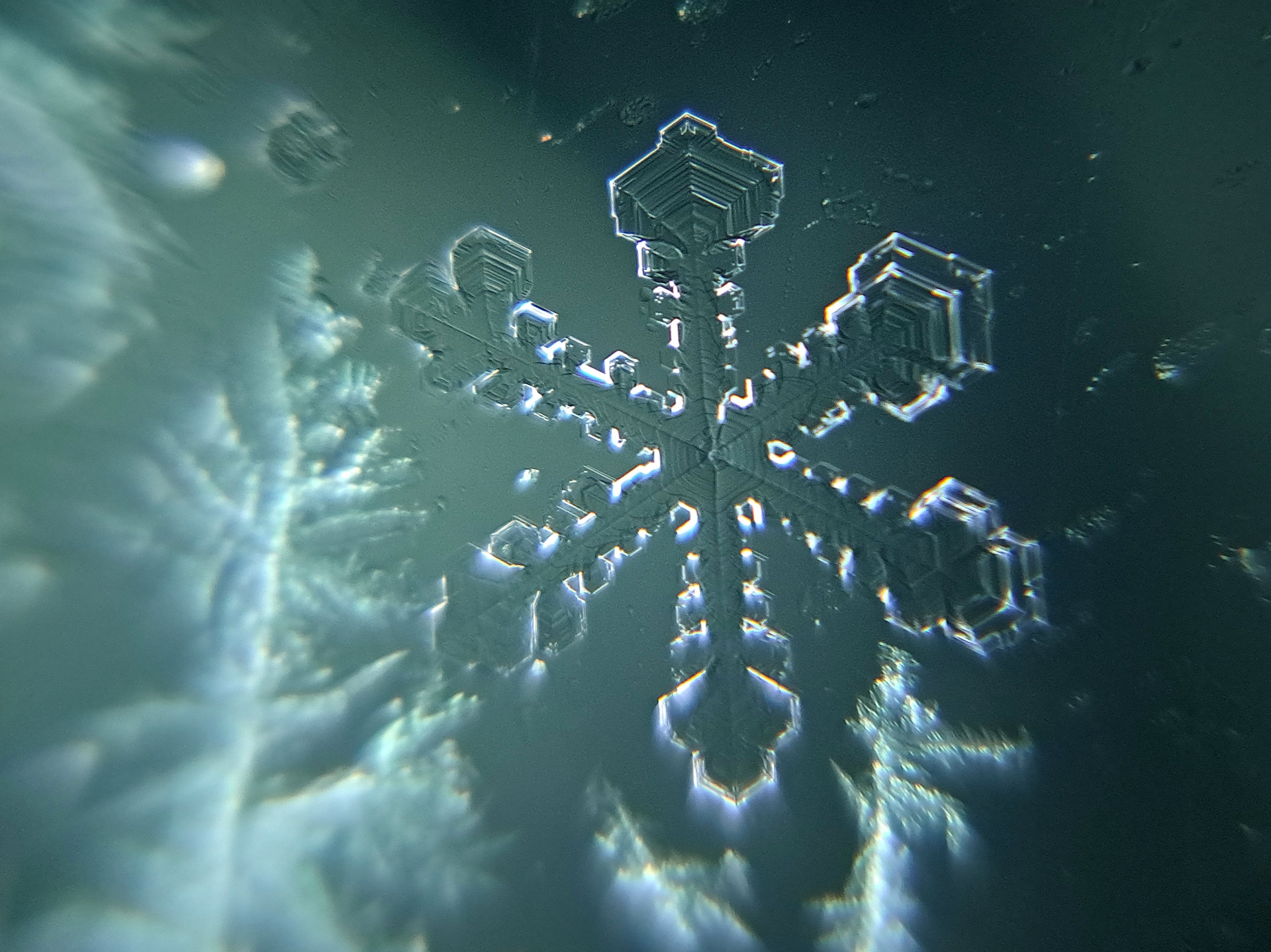 「雪はなぜ白いのか？」色を科学的に考えてみよう