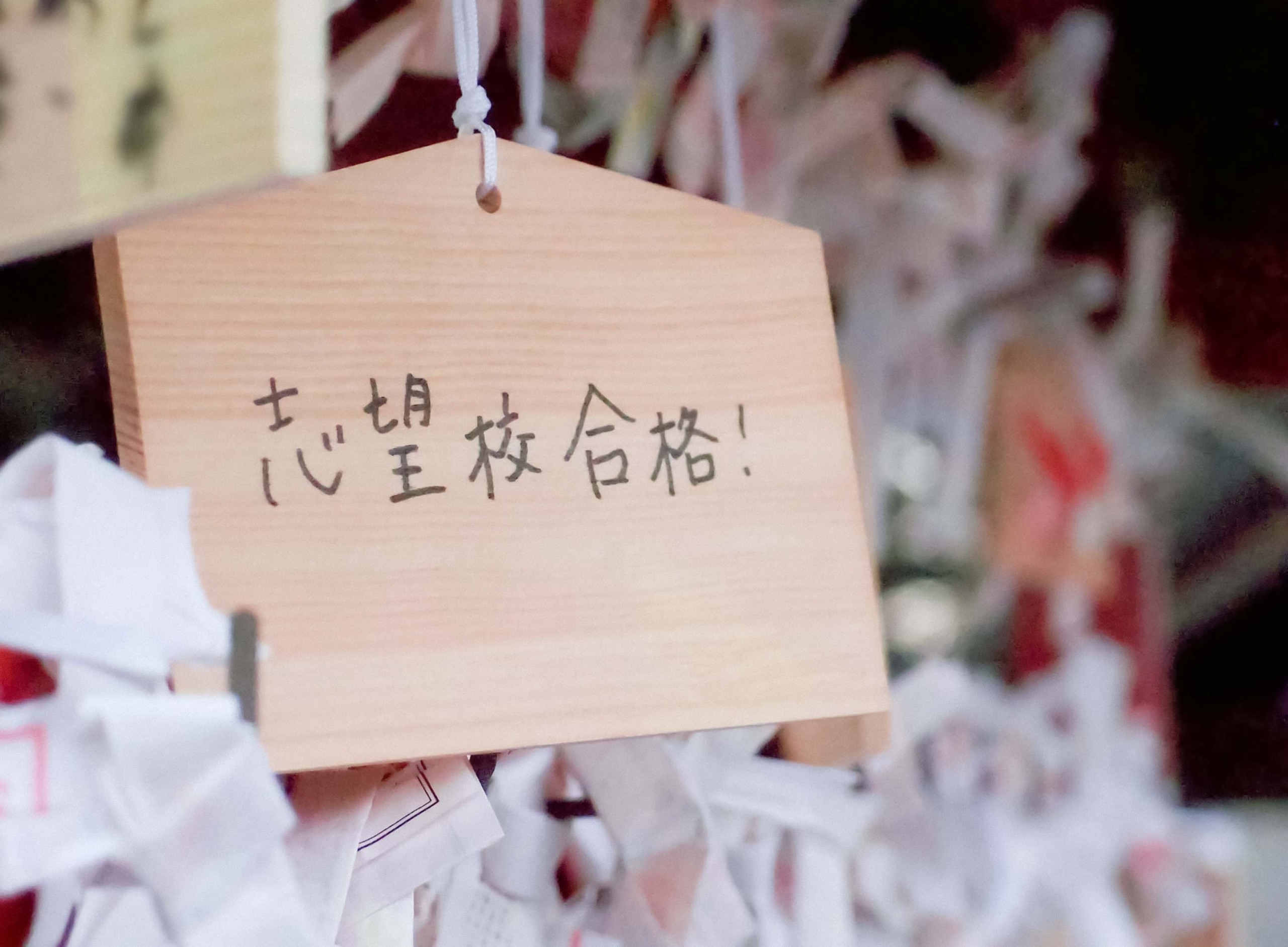 辛く険しい道のりだけど