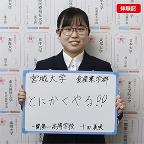 確実に実力が伸びる