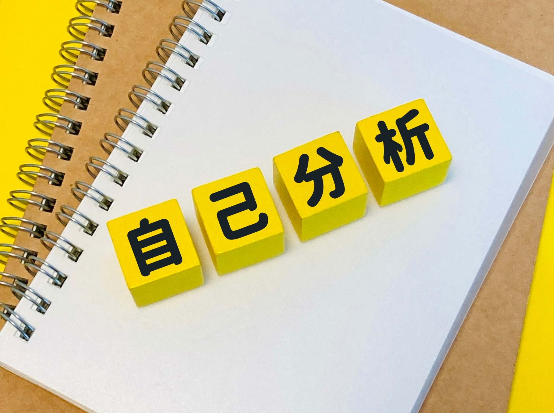 その勉強本当に合ってる？自分の性格を活かす学び方とは