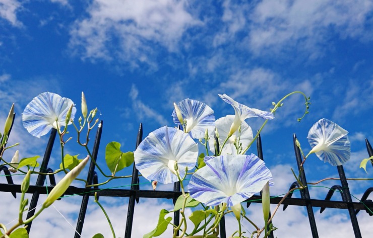 成績が伸びないと感じた時に試すべきこと